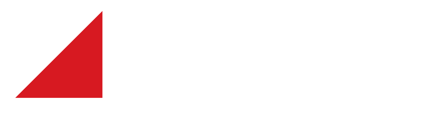 Wurzel Builders logo in white